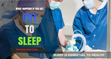 Unveiling the Mysteries of Anesthesia: What Happens When You're Put to Sleep?