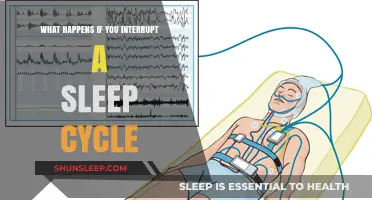 Sleep Cycles: Interruption Impacts and Solutions
