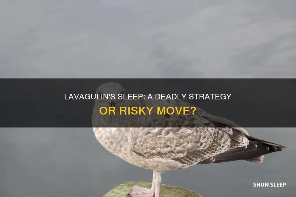 what happens if you let lavagullin sleep slay the spire