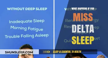 Missing Delta Sleep: Understanding the Risks and Consequences