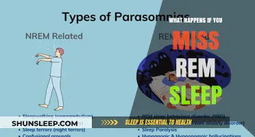 Missing REM Sleep: The Consequences and Effects