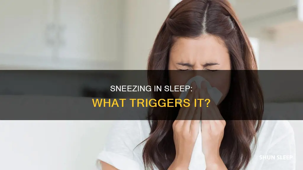 what happens if you need to sneeze in your sleep