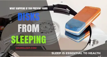 Hard Disk Sleep: Energy Saving or Performance Drain?