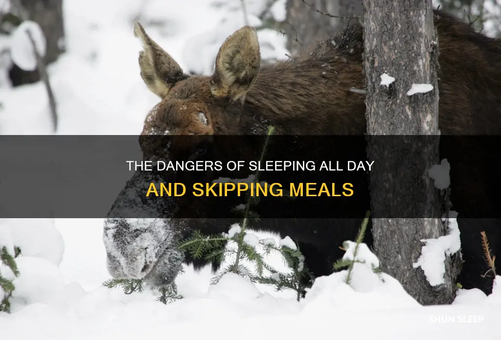 what happens if you sleep all day and dont eat