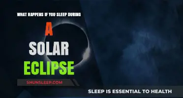 Mysteries of Sleep During a Solar Eclipse