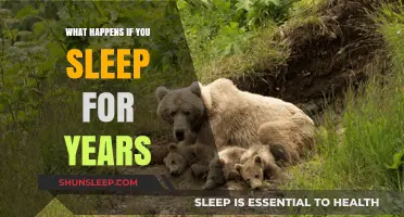 The Mystery of Long-Term Sleep: What Happens?