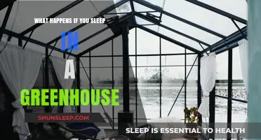 Greenhouse Slumber: A Comfortable Night's Sleep?
