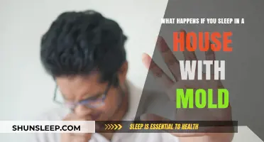 Moldy Home: Sleep Here, Risk Your Health