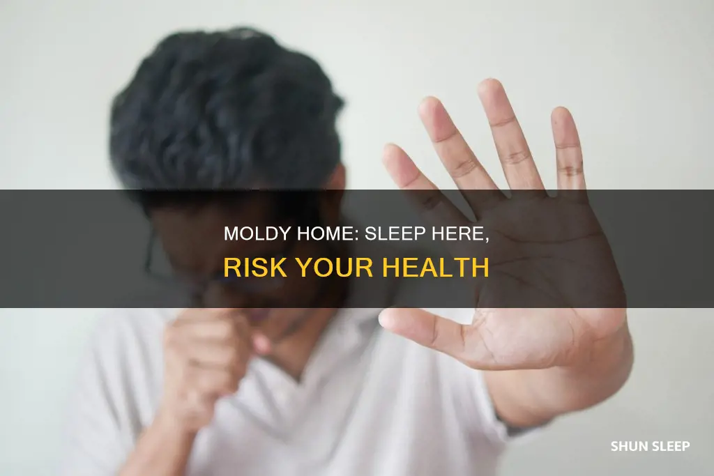 what happens if you sleep in a house with mold