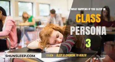 Classroom Catnap: Persona 3's Sleepy Students
