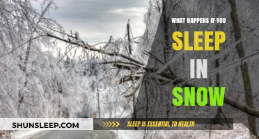 Sleeping in Snow: Hypothermia and Frostbite Risks