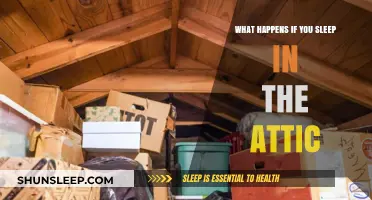The Attic Slumber: Exploring Sleep's Unknown