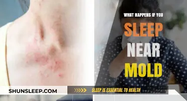 Moldy Sleep: The Health Risks of Sleeping Near Mold