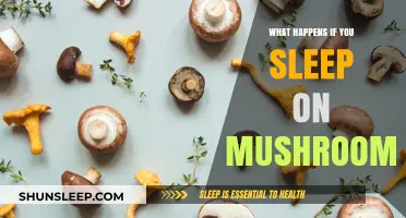 Mushroom Trip: Sleep or No Sleep?