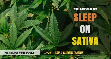 Sativa and Sleep: A Recipe for Rest or Disaster?