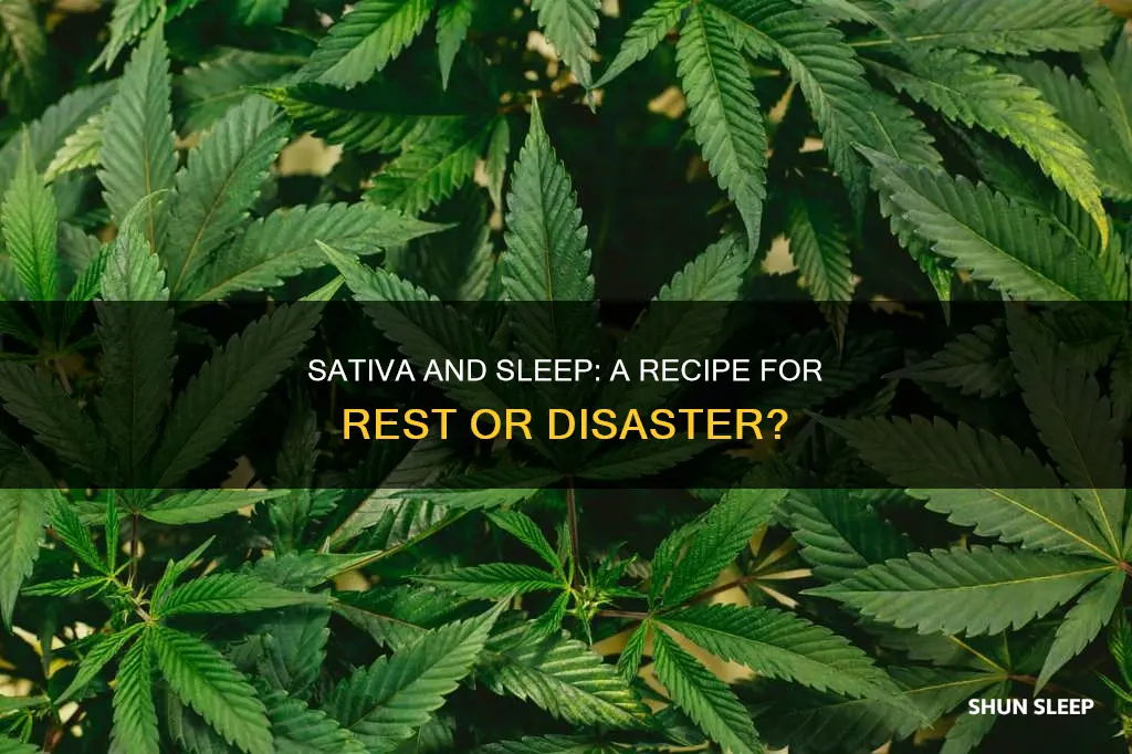 what happens if you sleep on sativa