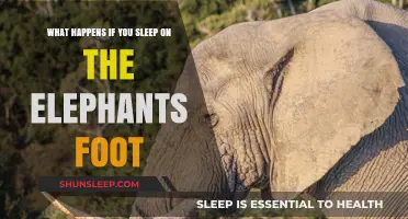Sleeping on an Elephant's Foot: What are the Risks?