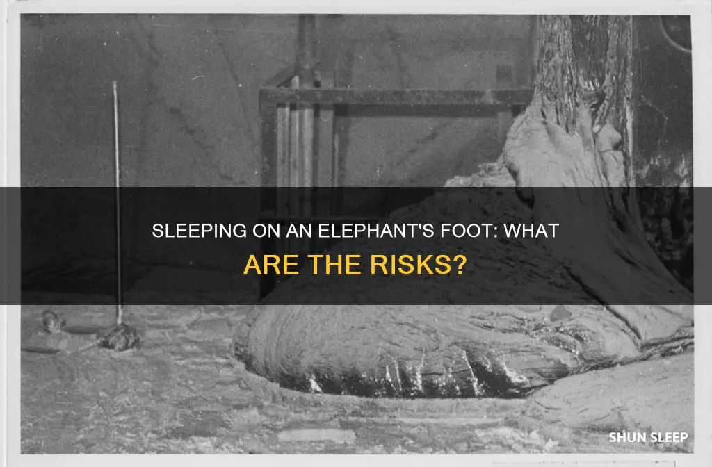 what happens if you sleep on the elephants foot