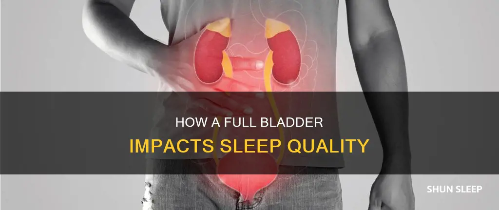 what happens if you sleep with a full bladder
