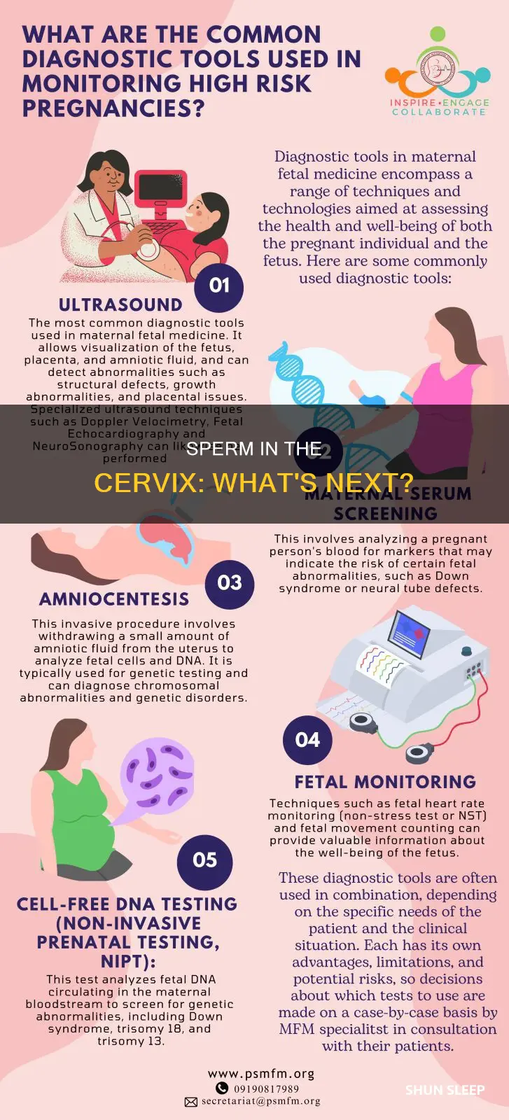 what happens if you sleep with sperm in you