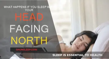 Sleeping North: The Magnetic Pull on Sleep