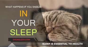Sneezing in Sleep: What Does It Mean?