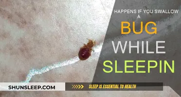 Unwanted Bedtime Snack: Bugs While You Sleep