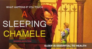 The Mystery of Touching a Sleeping Chameleon