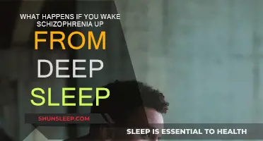 Schizophrenia: The Deep Sleep Awakening Mystery