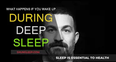 Deep Sleep Disruption: The Body's Response