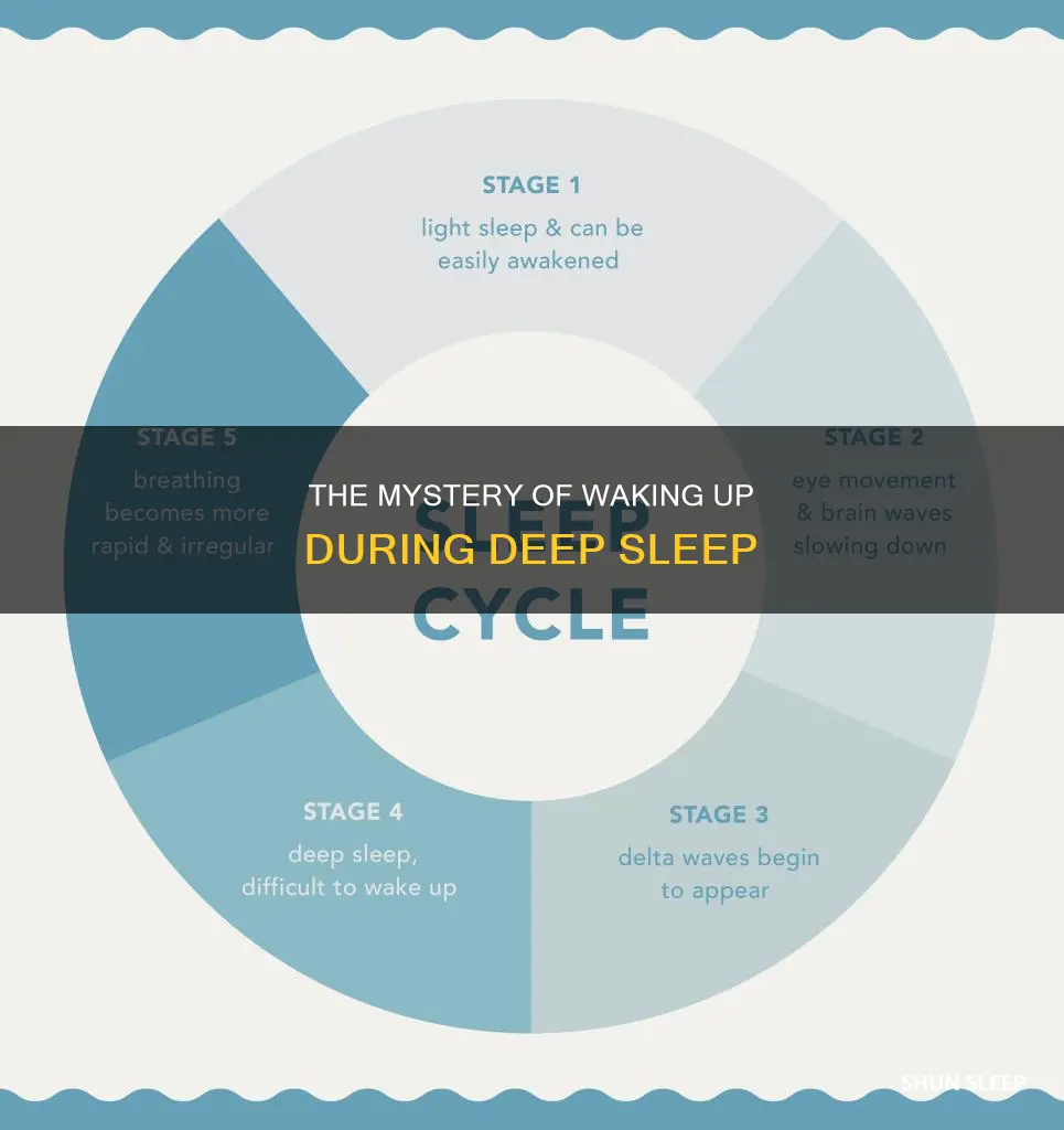 what happens if you wake up in stage 4 sleep