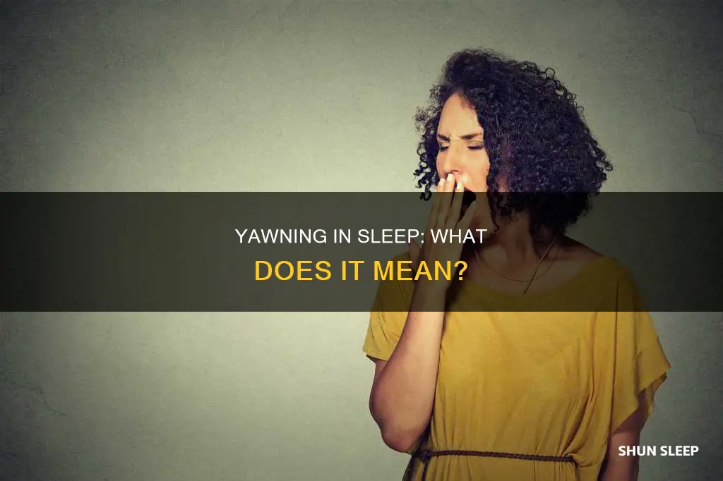 what happens if you yawn in your sleep