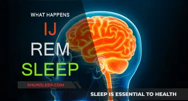 REM Sleep: The Brain's Active Rest