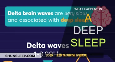 Deep Sleep: Unlocking the Mind's Power