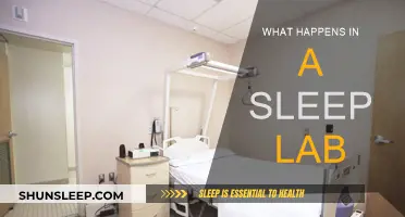 Sleep Lab: Unraveling the Science of Sleep