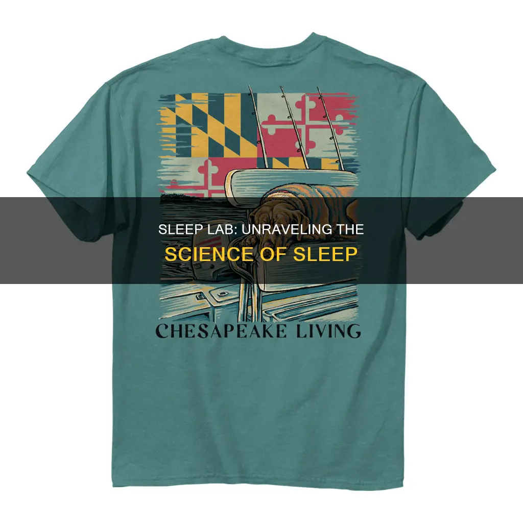 what happens in a sleep lab