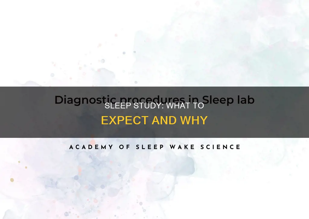 what happens in a sleep study uk