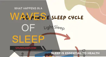 Sleep Waves: Unraveling the Mystery of Sleep Stages