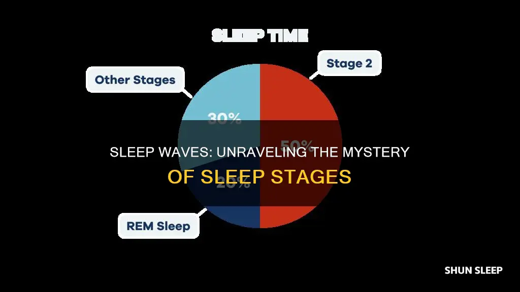 what happens in a waves of sleep