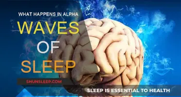 Alpha Waves: The Secret to Sleep and Brain Power