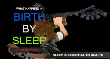 Birth by Sleep: Unraveling the Secrets of the Past