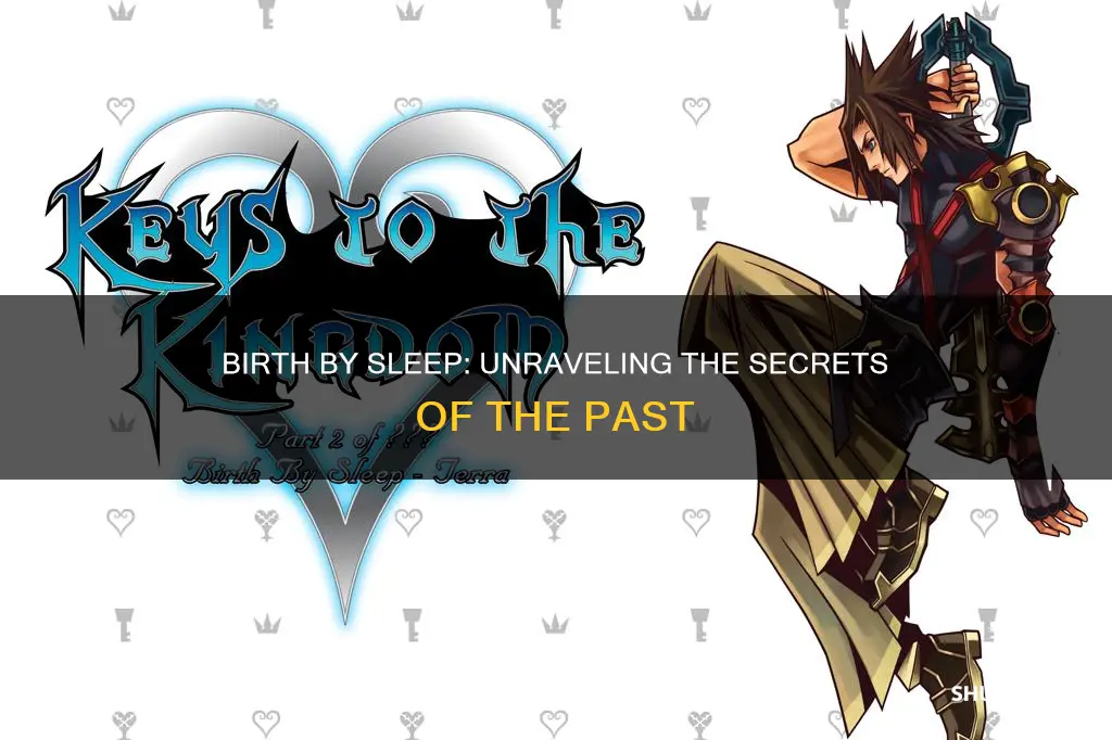 what happens in birth by sleep