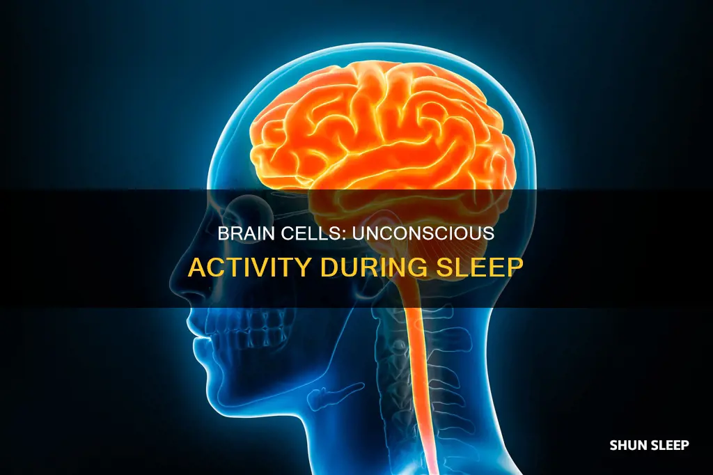 what happens in brain cells uring sleeping