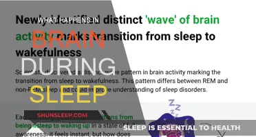 Brain Activity During Sleep: Unveiling the Mystery