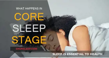 Core Sleep Stage: Brain Powering Up
