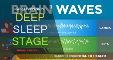 Deep Sleep: Unlocking the Brain's Secrets