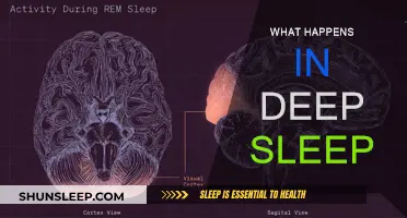 Deep Sleep: Unlocking the Brain's Secrets