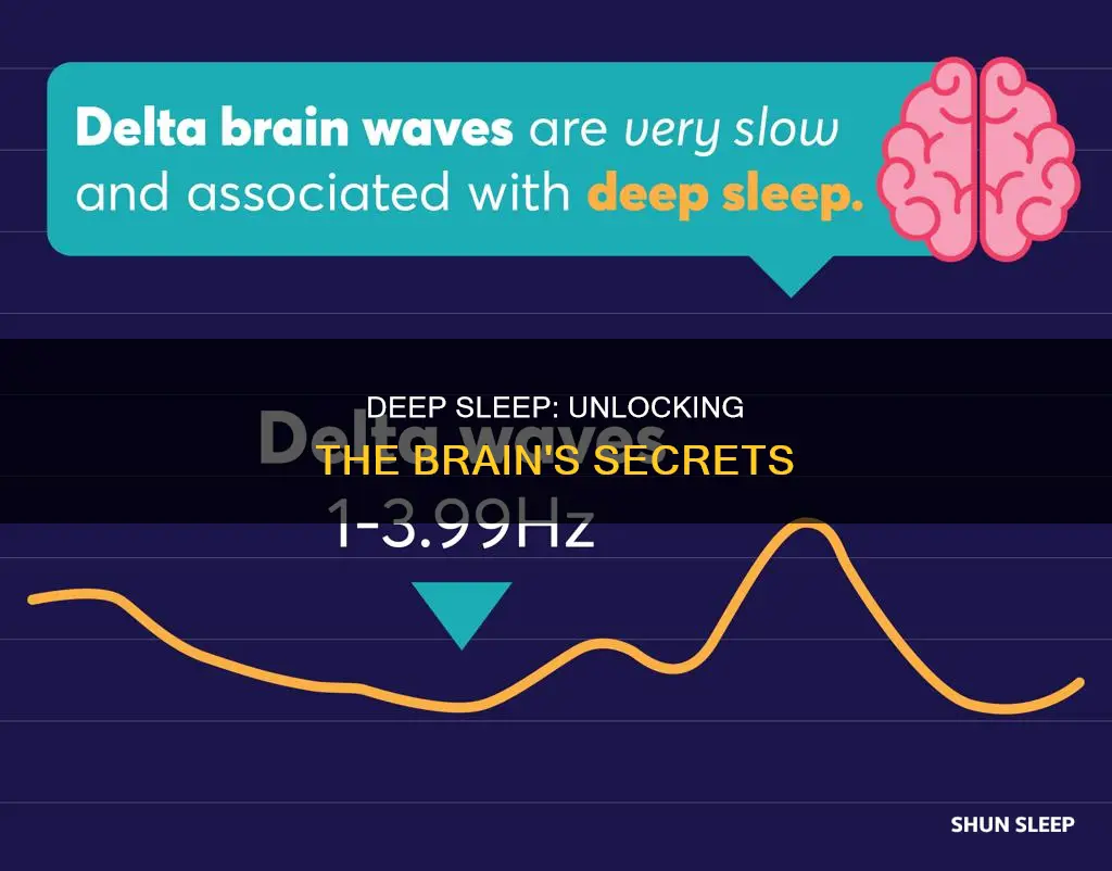 what happens in deep sleep