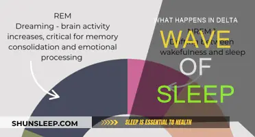 Delta Waves: Deep Sleep's Secrets