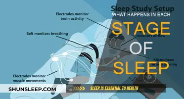 Sleep Stages: Understanding the Phases of Sleep